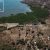 nosybe-vente-terrain-vue-mer