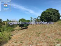 880-m²-de-terrain-en-vente-lieu-dit-belaza