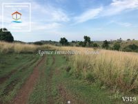 vente-terrain-belaza-sakatia-nosybe